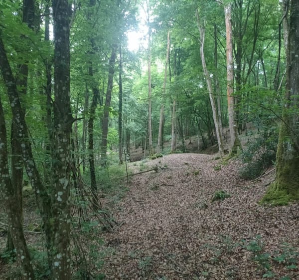 Vallée du Guiel, par Verneusses - Montreuil-l'Argillé - 1