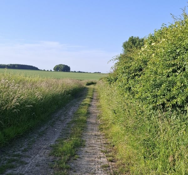 Velo Gaudiempré - Pommier par la Herlière - Gaudiempré - 1