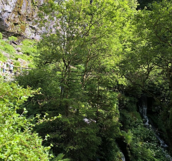 Petite balade - Nébouzat - 1