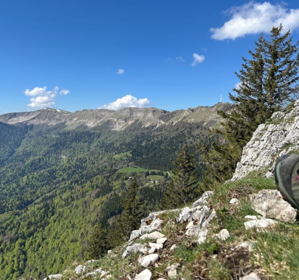 Le Turet et sa vue panoramique sur les Alpes - Gex - 1