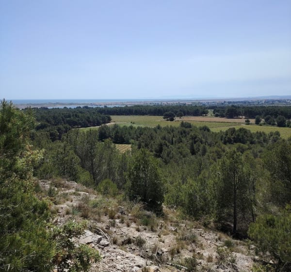 Petite randonnée dans la Clape - Gruissan - 1
