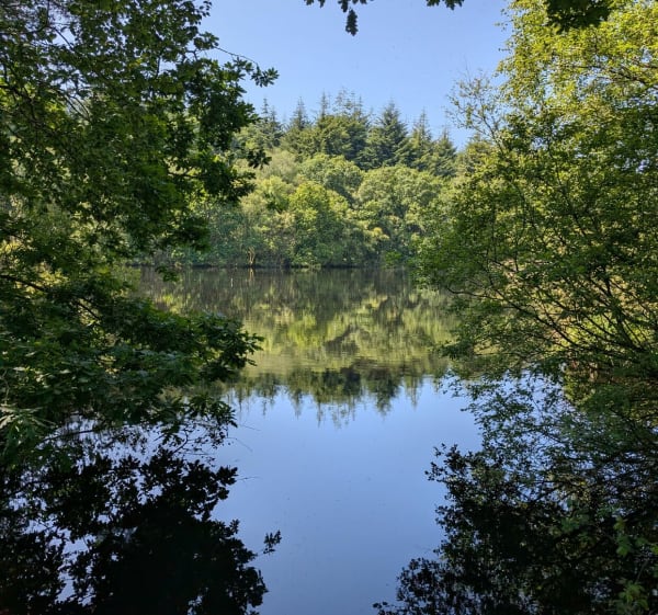 Boucle au bois d'Avaugour - Lanrodec - 1