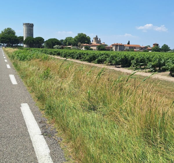 Balade dans la petite Camargue - Saint-Laurent-d'Aigouze - 1
