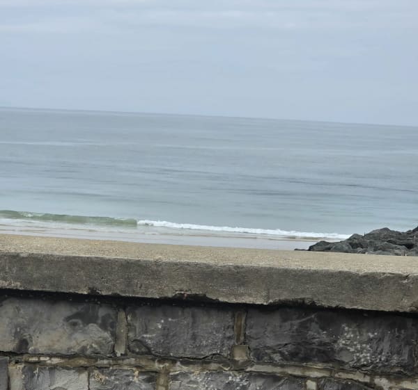 Piste cyclable de Bénesse-Maremne à Capbreton - Bénesse-Maremne - 1