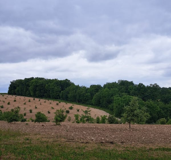 Balade autour de Saint-Amant-de-Nouère - Saint-Amant-de-Nouère - 1