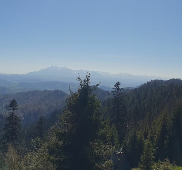 Na Prehybę - Szczawnica - 1