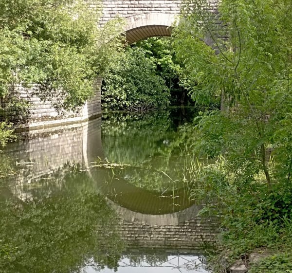Mauzé sur le mignon, bourg et campagne - Mauzé-sur-le-Mignon - 1