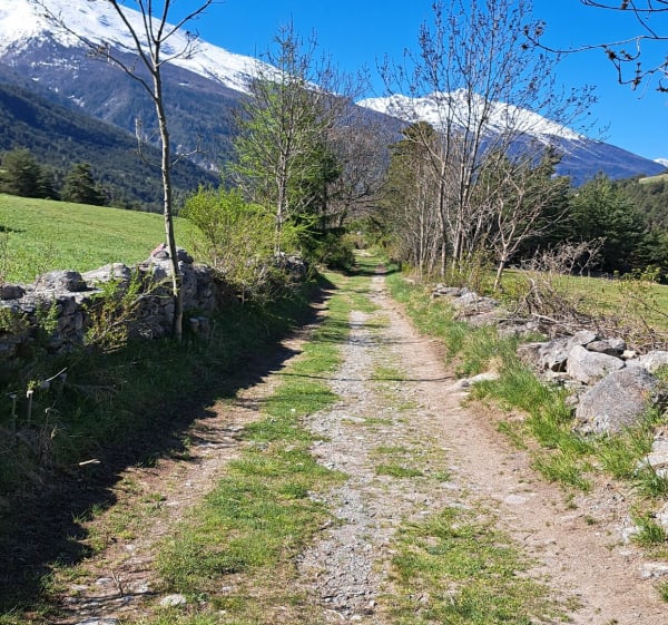 Boucle du Châtel - Val-Cenis - 1