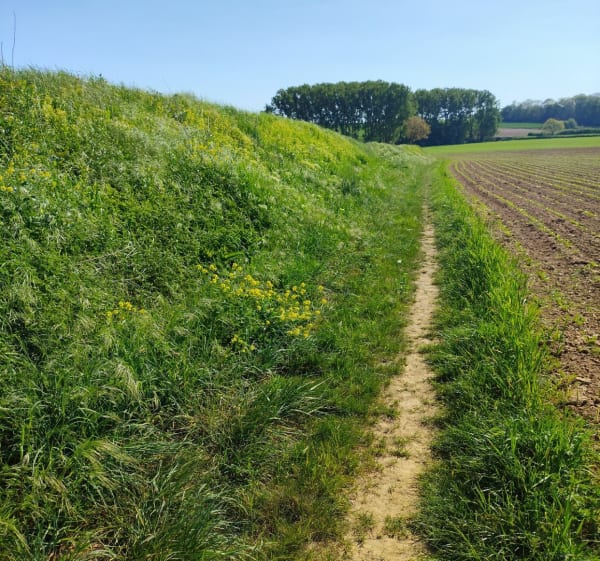 La boucle des champs depuis Saint-Aubert - Saint-Aubert - 1