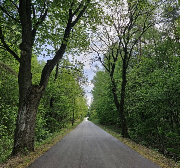 Olszewo Zaborowo Kamionka Nidzica - Nidzica - 1