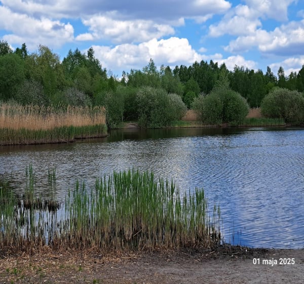 WOKÓŁ LOTNISKA - Łódź - 1