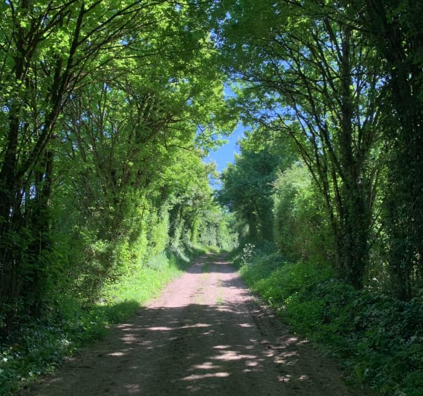 Saint Gelais mi chemin et route de campagne - Saint-Gelais - 1