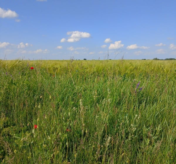 Jadę rowery - Ochodza - 1