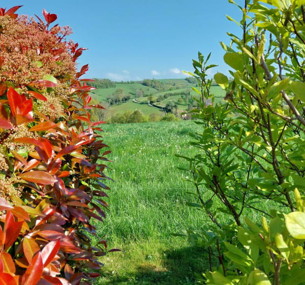 Monts du Lyonnais - Saint-Laurent-de-Chamousset - 1