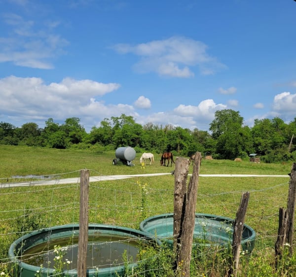 Balade bucolique autour de Jonage - Jonage - 1