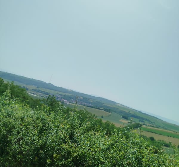 Boucle au Kochersberg - Wiwersheim - 1