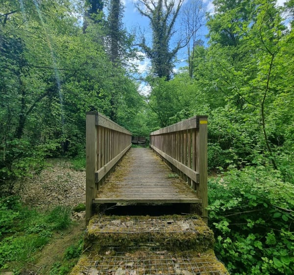Sentier du Buchwald - Boulay-Moselle - 1