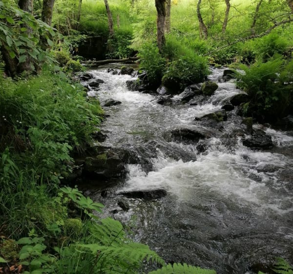 Fontaine Goyon - Besse-et-Saint-Anastaise - 1
