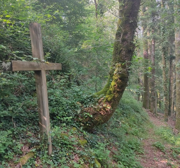PR5 revisité depuis Cambeyrac - Fred  - 1