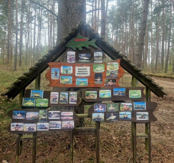 12km po kaszubskich lasach i polach dookoła jeziora - Węsiory - 1