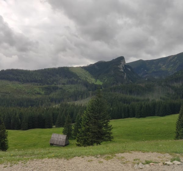 Droga na Kalatowki - Zakopane - 1
