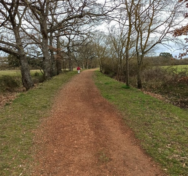 Forêt, traversée de rivière et GR au milieu des champs! - La Salvetat-Saint-Gilles - 1