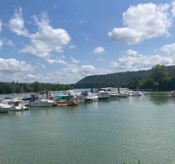 Bords du Rhône aux Roches de Condrieu - Saint-Clair-du-Rhône - 1