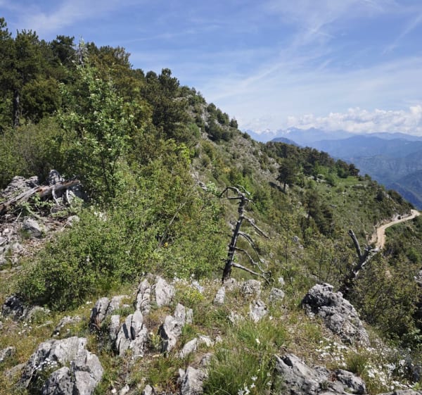 Mont Férion et Col du Dragon - Levens - 1