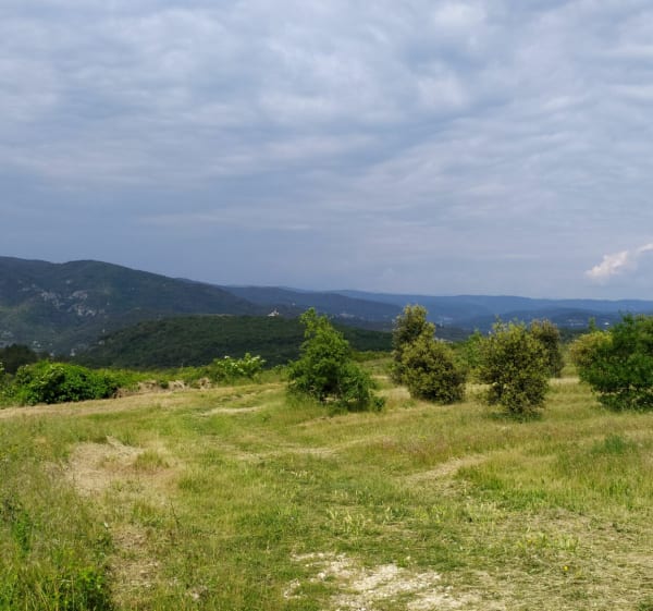 Balade entre Châteauneuf et Donzère par le Fourfouillet - Malataverne - 1