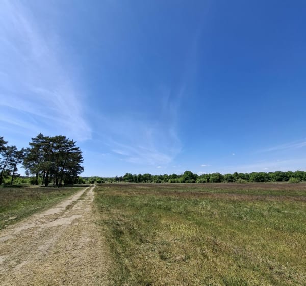 Czmoniec- nad Wartą - Czmoniec - 1