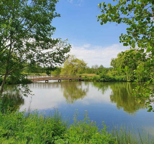 Randonnée vers les étangs de Grandchamp et Brossais - Grandchamp-des-Fontaines - 1