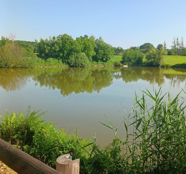 La campagne de Belmont et autres - Fougerolles-Saint-Valbert - 1