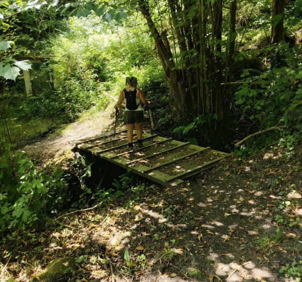 L'ancien chemin des facteurs. Pierrefitte-Nestalas. - Pierrefitte-Nestalas - 1