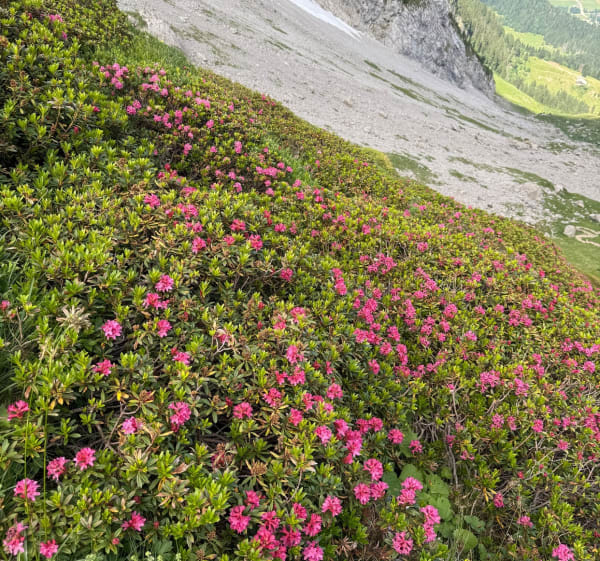 Tête Pelouse et Trou de la Mouche - La Clusaz - 1
