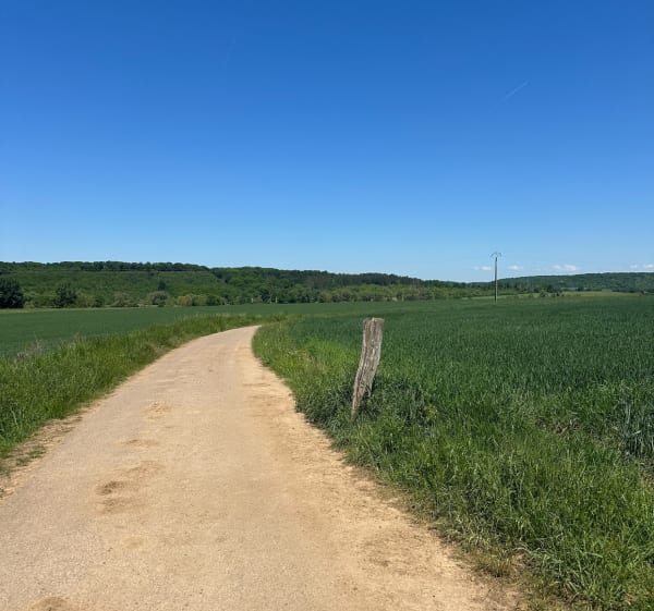 Balade entre Condé-Northen et Pontigny - Condé-Northen - 1