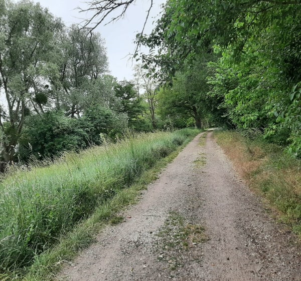 Promenade aux fourneaux - Chaingy - 1