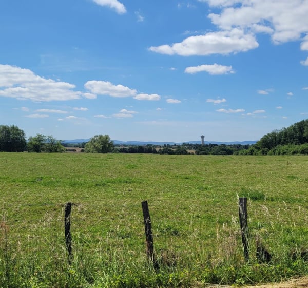 Balade bocage bressan à Chevroux - Chevroux - 1