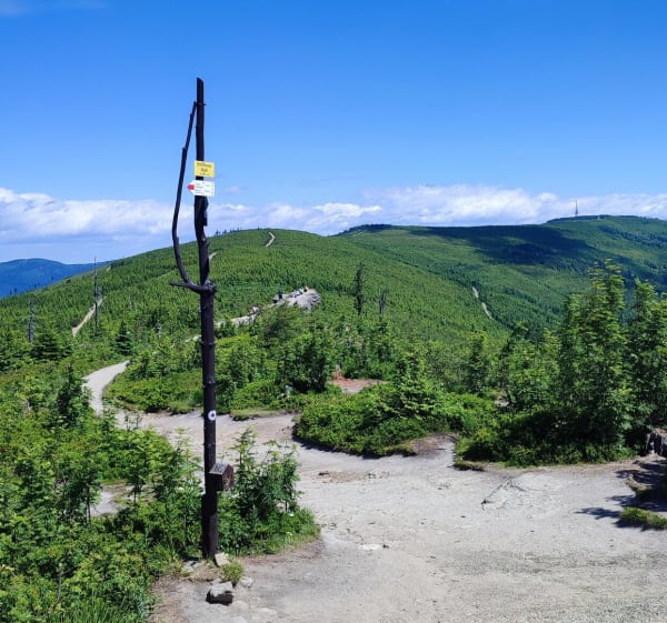 Malinowa Skała - Małe Skrzyczne - Skrzyczne - Lipowa - 1
