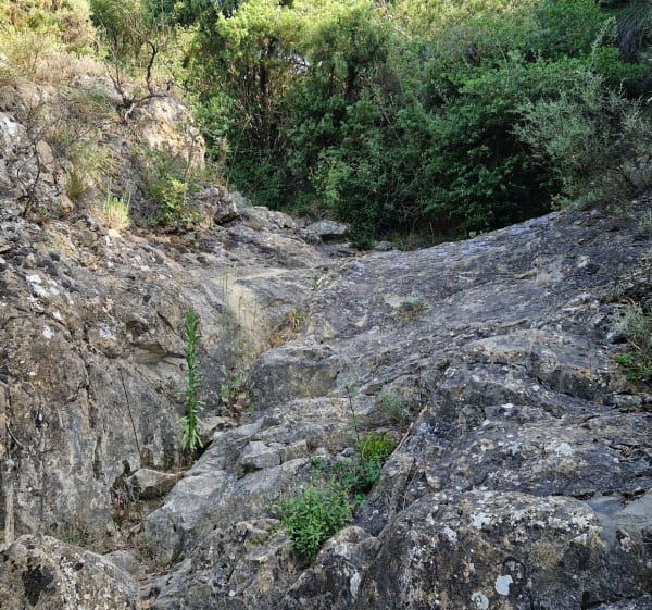 Autour du château de Villerouge-Termenès - Villerouge-Termenès - 1