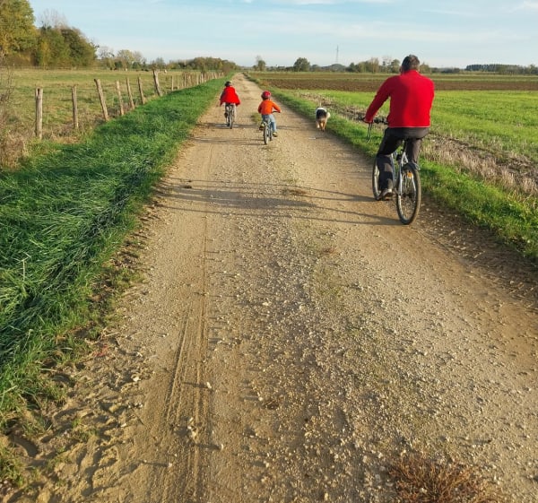 Entre canal et Vingeanne - Jancigny - 1