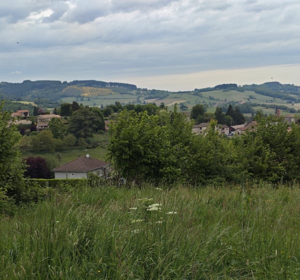 Balade sur les monts du Beaujolais et le Mont Saint-Rigaud - Deux-Grosnes - 1