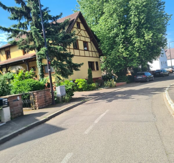 Objectif 40km Colmar - Colmar - 1