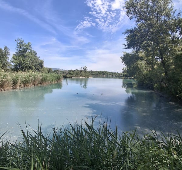 Promenade en famille - Manosque - 1