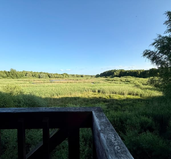 Puszcza Wkrzańska - punkt widokowy - Szczecin - 1