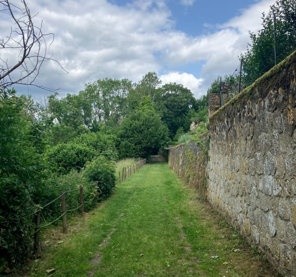Autour de Coucy-le-Château - Coucy-le-Château-Auffrique - 1