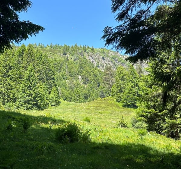 Les 4 lacs : Du lac blanc jusqu’au Hirschsteine - Orbey - 1