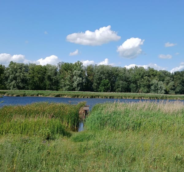 Dolina rzeki Wisły w Płocku - Płock - 1