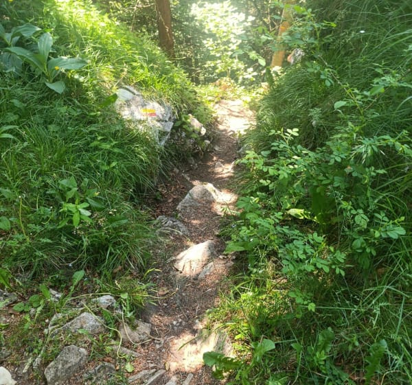 Meaudre le gros martel - Méaudre - 1