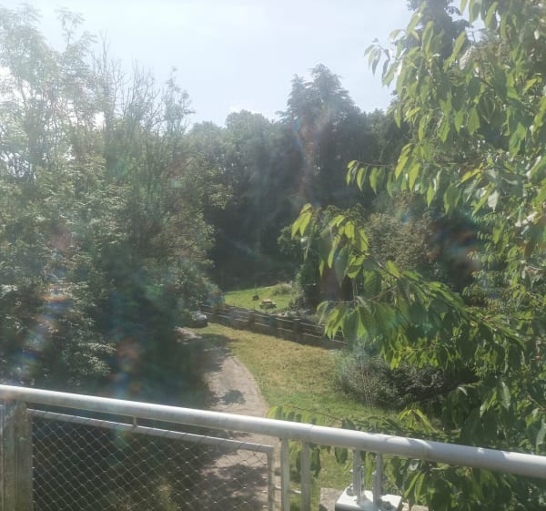 Le Bô - Thury Harcourt (aller-retour) - Le Bô - 1