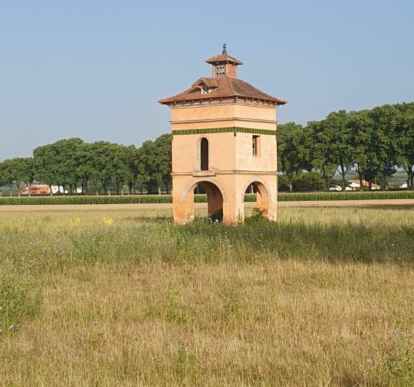 Boucle du Tarn et château de Saint-Géry - Coufouleux - 1